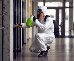 Best Residential Mold Inspection & Testing  in USA